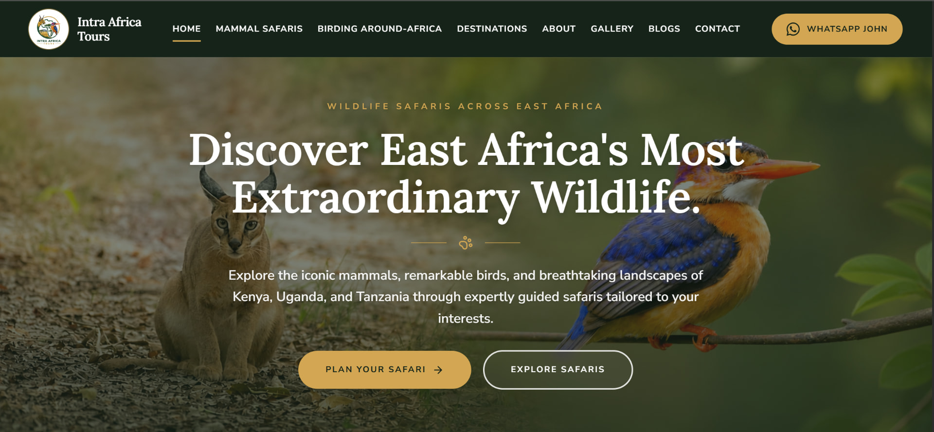Intra Africa Tours website homepage